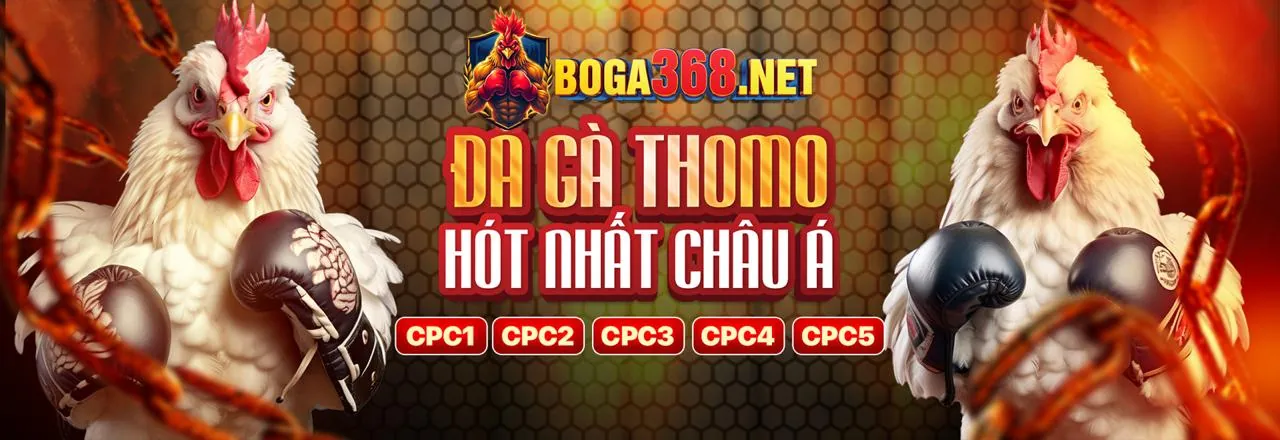 Tải ứng dụng febet chính thức 2026